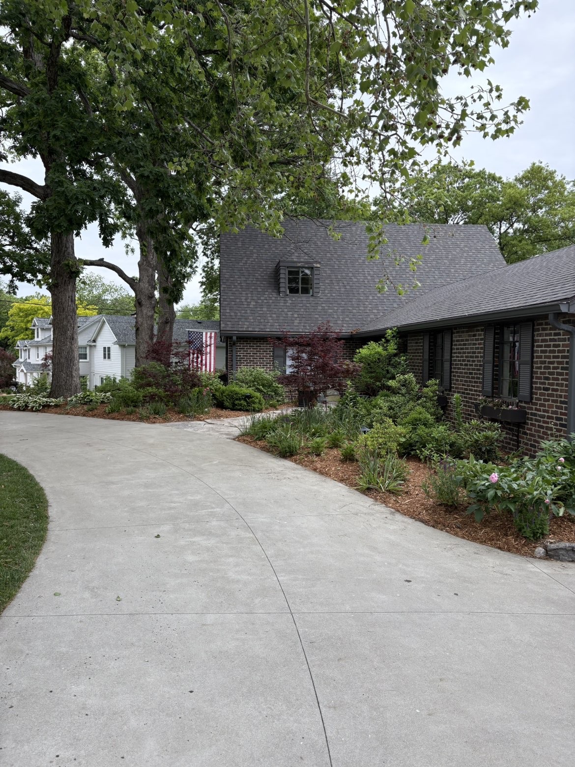 Front yard landscaping with Japanese maples, shrub beds, and hardwood mulch along a curved concrete driveway in Des Moines, Iowa