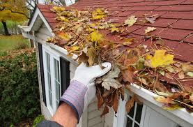 Gutter Cleaning services in Des Moines IA